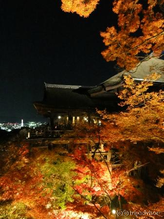 Light display during fall in Kiyomizu-dera(清水寺)