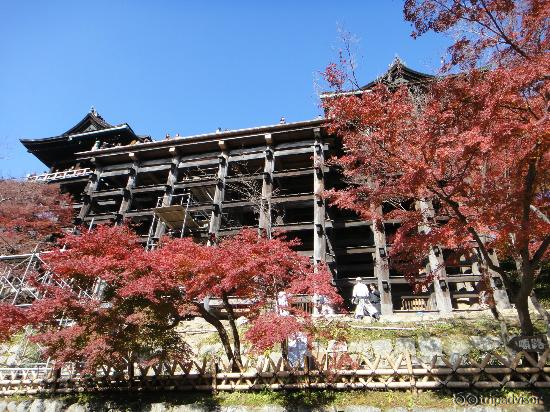 A different perspective