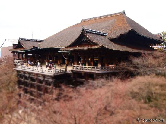 magnificent structure