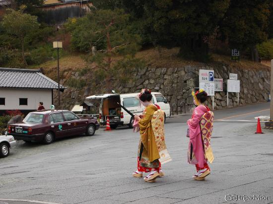 tourist wearing kimono