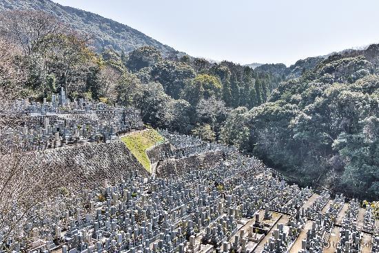 Cemetery near temple