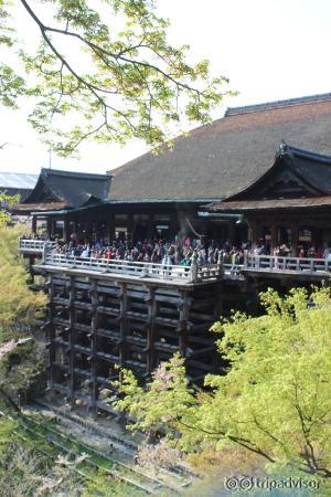 Kuil utama, balok2 kayu penyangga yang masif