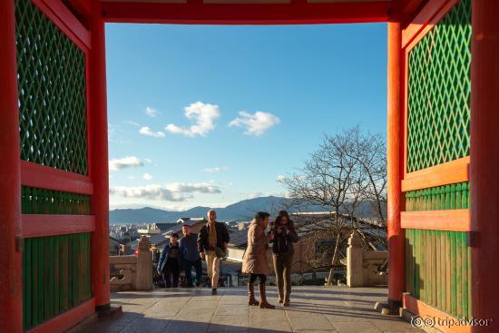 Looking through the gate