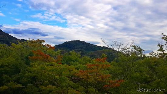 Lovely Autumn colors starting