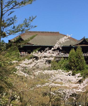 Main hall viewed from garden path