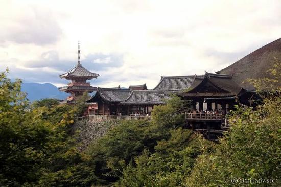 million dollar angle