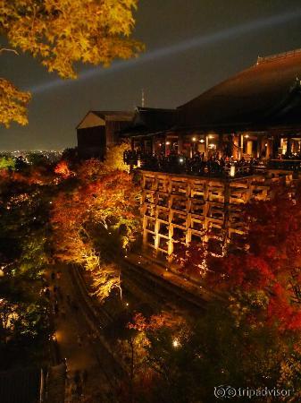 Night illumination of kiyomizu temple