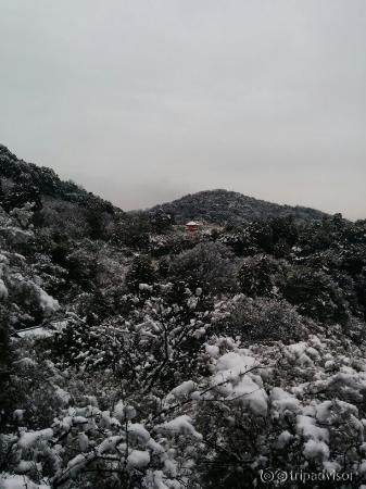 Photo of Kiyomizu Temple taken with TripAdvisor City Guides