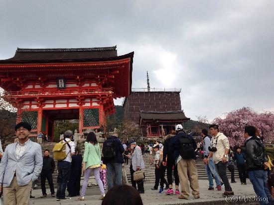 Renovation in progress