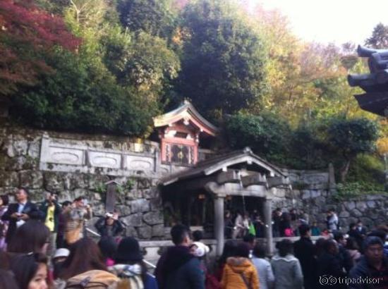 Tempat minum mata air