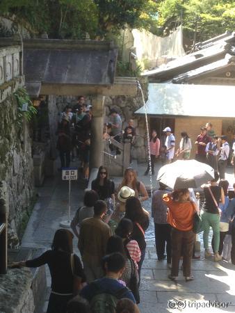 Fila per un singolare modo di bere