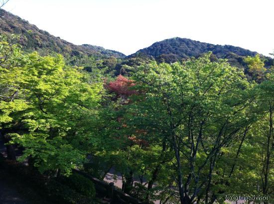 the great Kiyomizu Temple