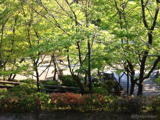 the great Kiyomizu Temple