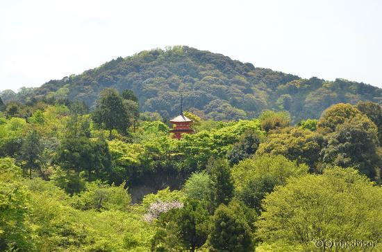 Pagoda dalla terrazza dcel tempio Kiyomizu-dera