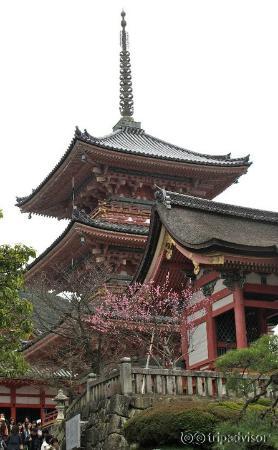 Kiyomizu-dera