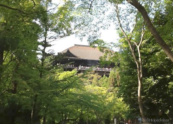 Templo de Kiyomizu, Hondo