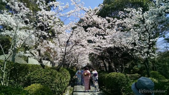 pracinha com gueixas na rua lateral