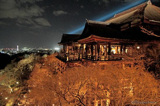 Mi mejor foto de japón