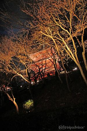 vista desde el jardín interno