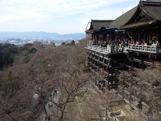 The trees were dormant but it was still a pretty view.
