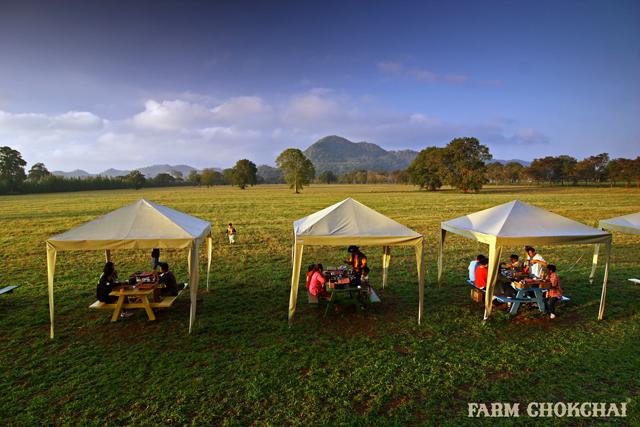 ฟาร์ม โชคชัย