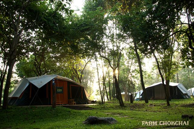 ฟาร์ม โชคชัย