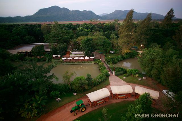 ฟาร์ม โชคชัย