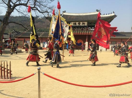 パフォーマンスの最中