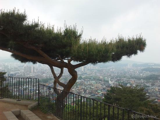 Вид с крепостной стены