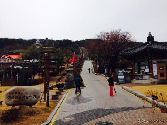 ここから登りました！