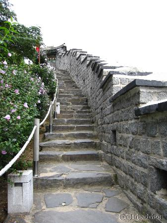 Stairs in the wall.