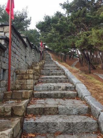 Steps along fortress