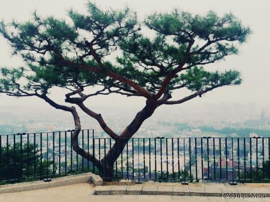 Suwon Hwaseong Fortress