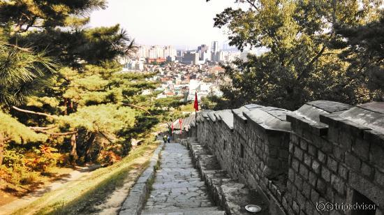 City of Suwon from the mountain