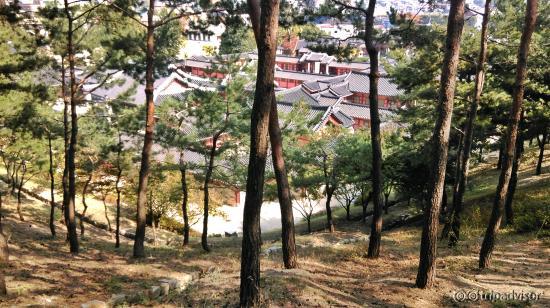 Palace from the forest