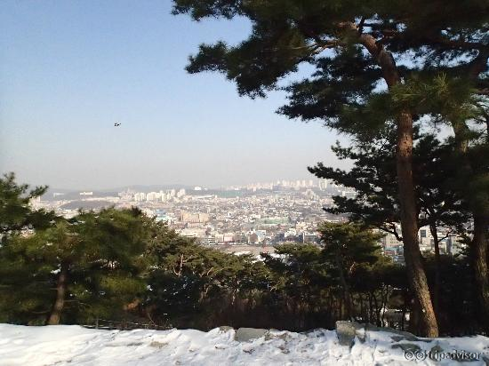 View of Suwon from top of wall