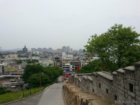 about a 1/4 way to the top