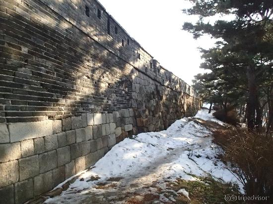 Taken from outside the wall