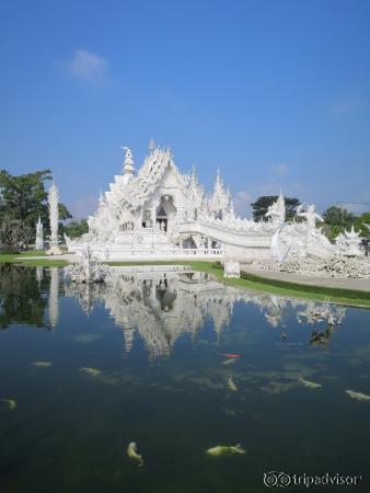 Amazing photos here.