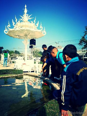 at wat rong khun temple