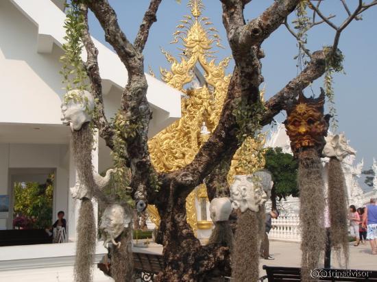 cabeças no jardim do Wat Rong Khun