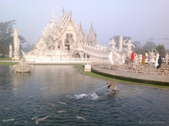 сказочная красота!