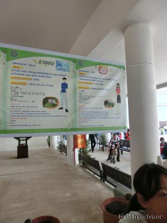 ที่พัก ดื่มน้ำสมุนไพรตามธาตุของคุณ