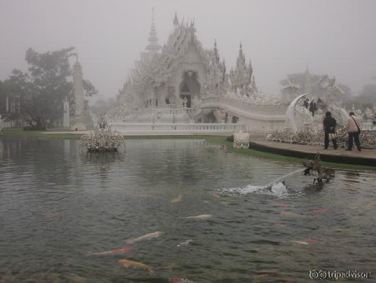 บรรยากาศของวัดท่ามกลางหมอกในหน้าหนาว