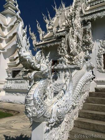 Ну и священные наги, как обычно, куда же без них...