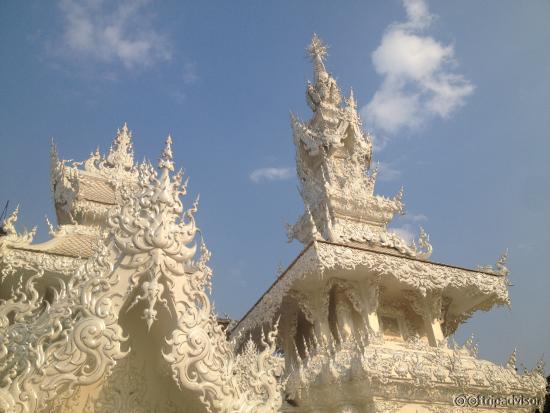 西日でキラキラ輝く