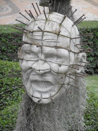 le reconnaissez-vous ?