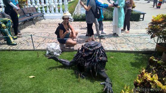 Predator antes de entrar