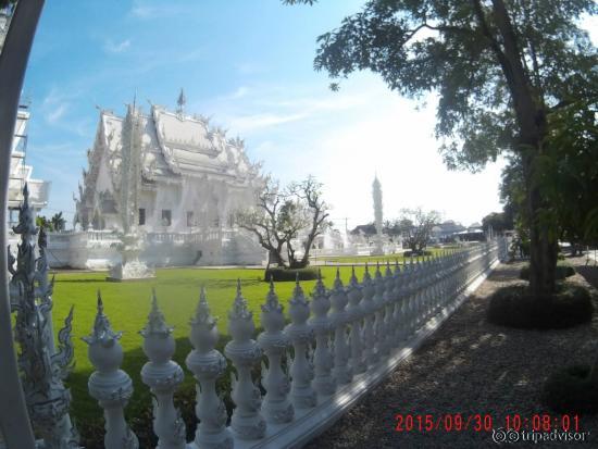 the side view, super amazing