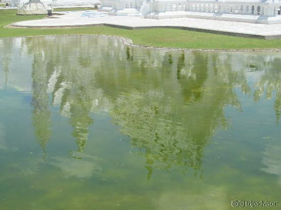 Stunning reflection in the lake